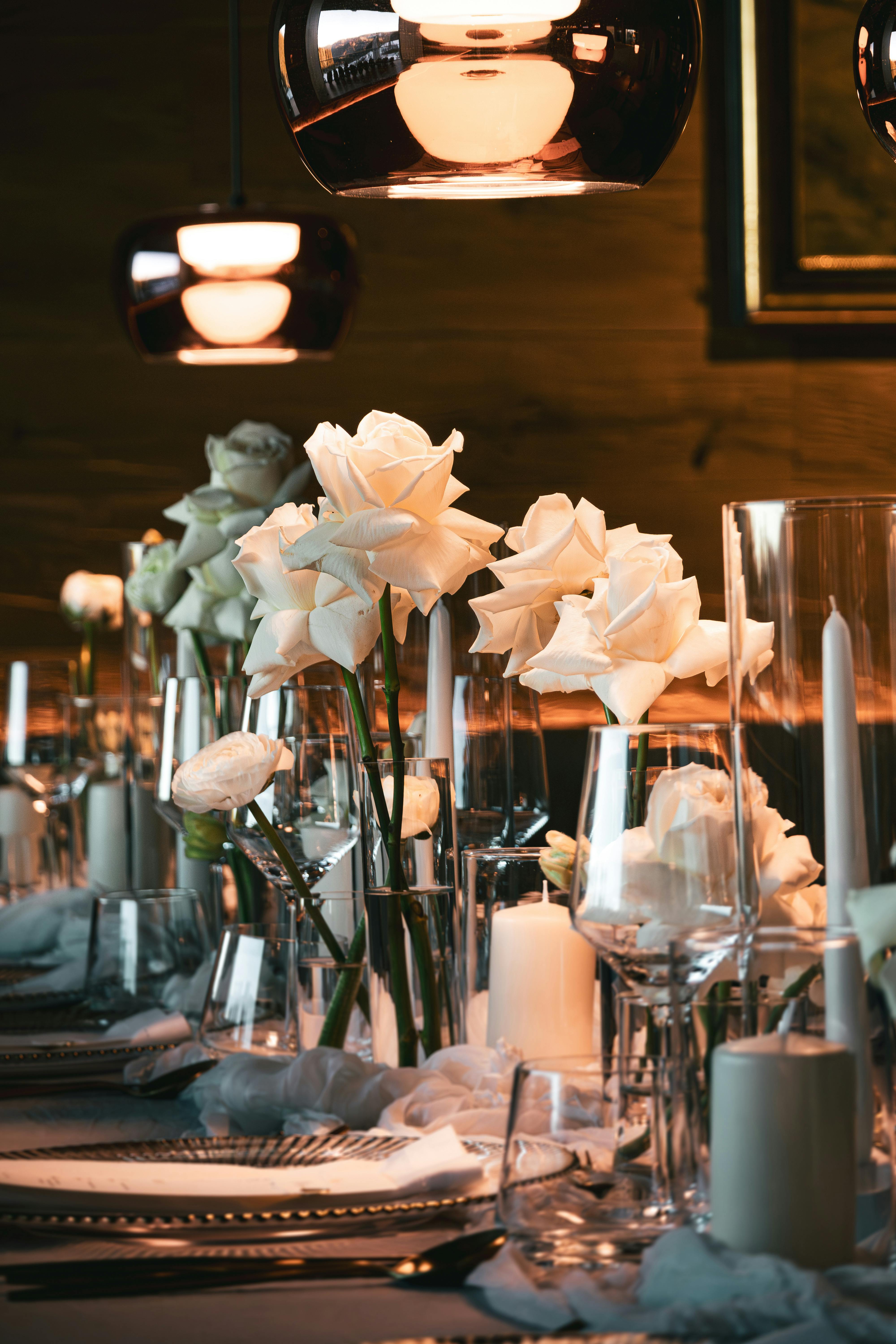 Seared scallops with fresh herbs